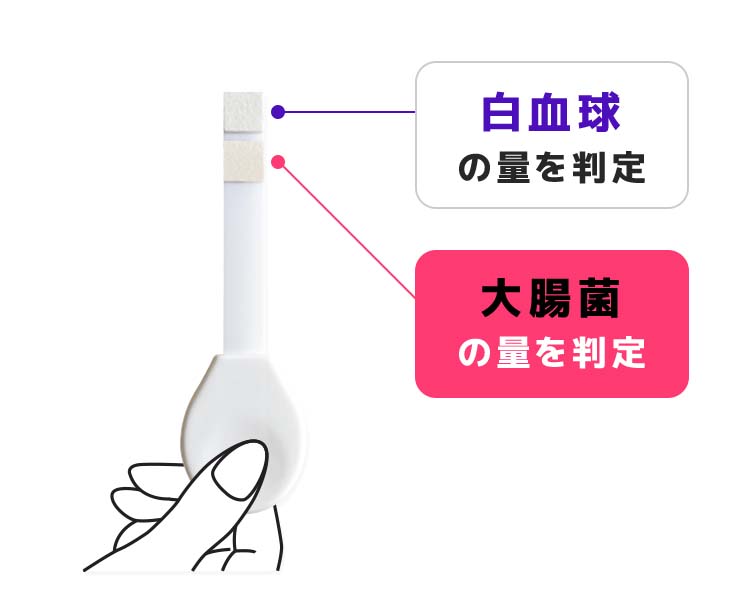 膀胱炎スピードチェックの判定結果
