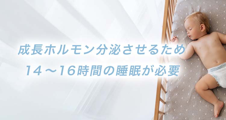 成長ホルモンが分泌させるために14~16時間の睡眠が必要