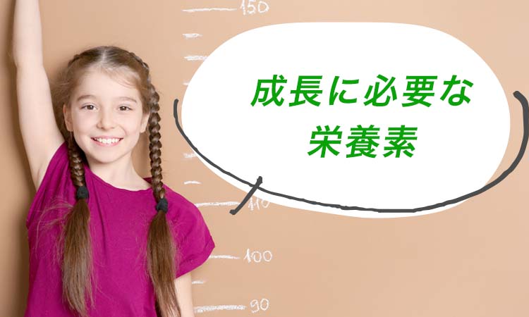成長に必要な栄養素