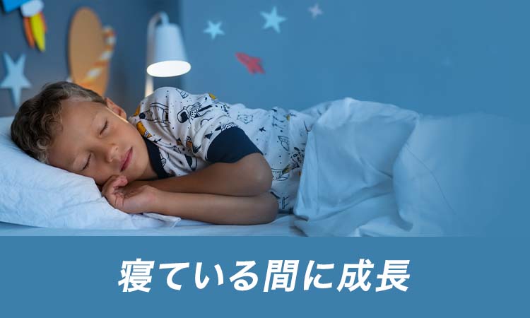 寝ている間に成長