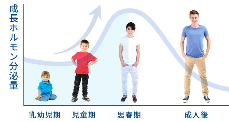 成長ホルモン分泌量