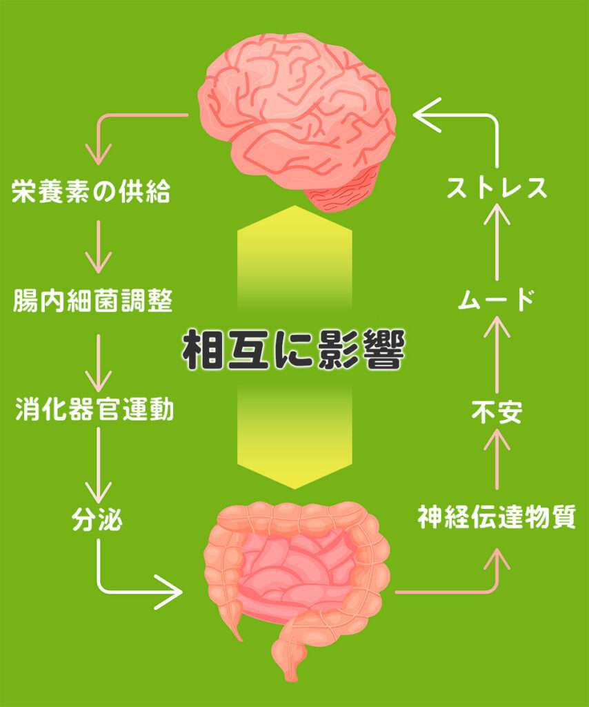 脳腸相関