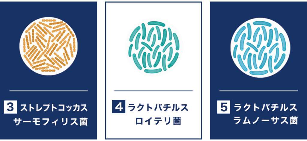 3つの善玉菌