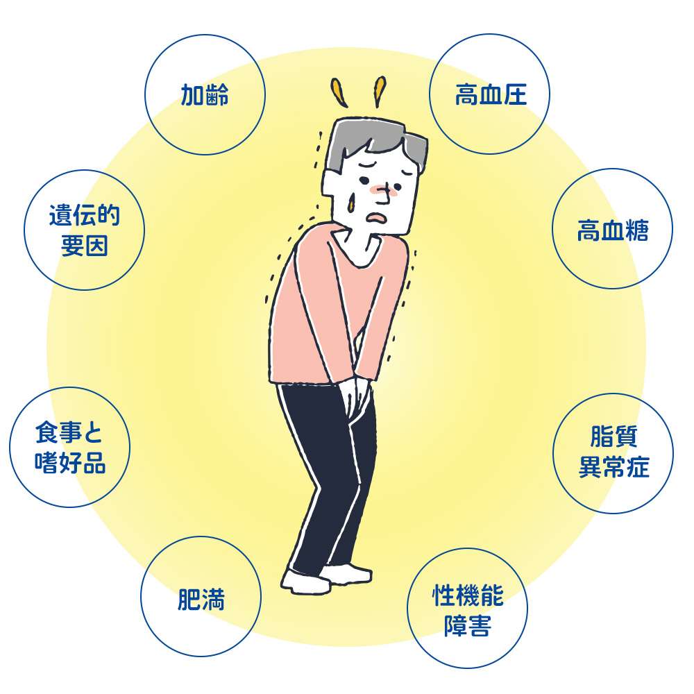 前立腺肥大症の原因