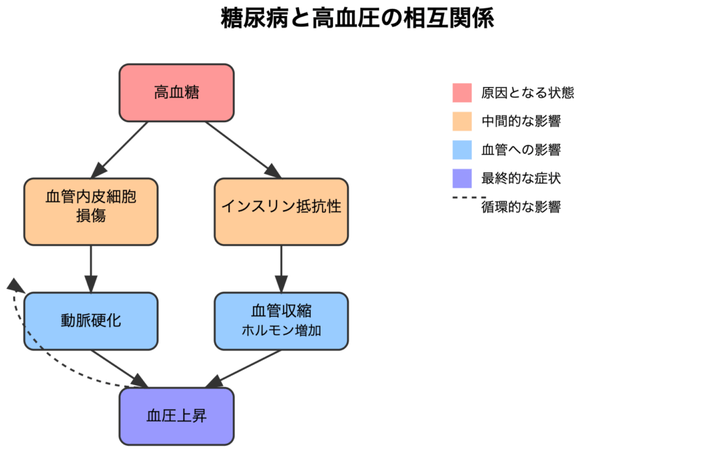 糖尿病と高血圧の相互関係