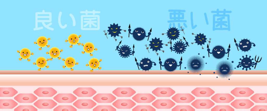 善玉菌悪玉菌戦い