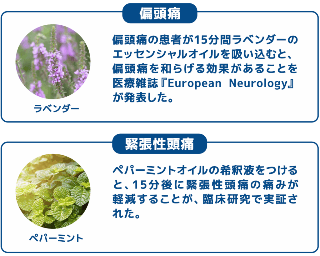 ラベンダー：片頭痛の患者が15分間ラベンダーのエッセンシャルオイルを吸い込むと、片頭痛を和らげる効果があることを医療雑誌「European Neurology」。ペパーミント：ペパーミントオイルの希釈液をつけると、15分後に緊張性頭痛の痛みが軽減することが、臨床研究で実証された。