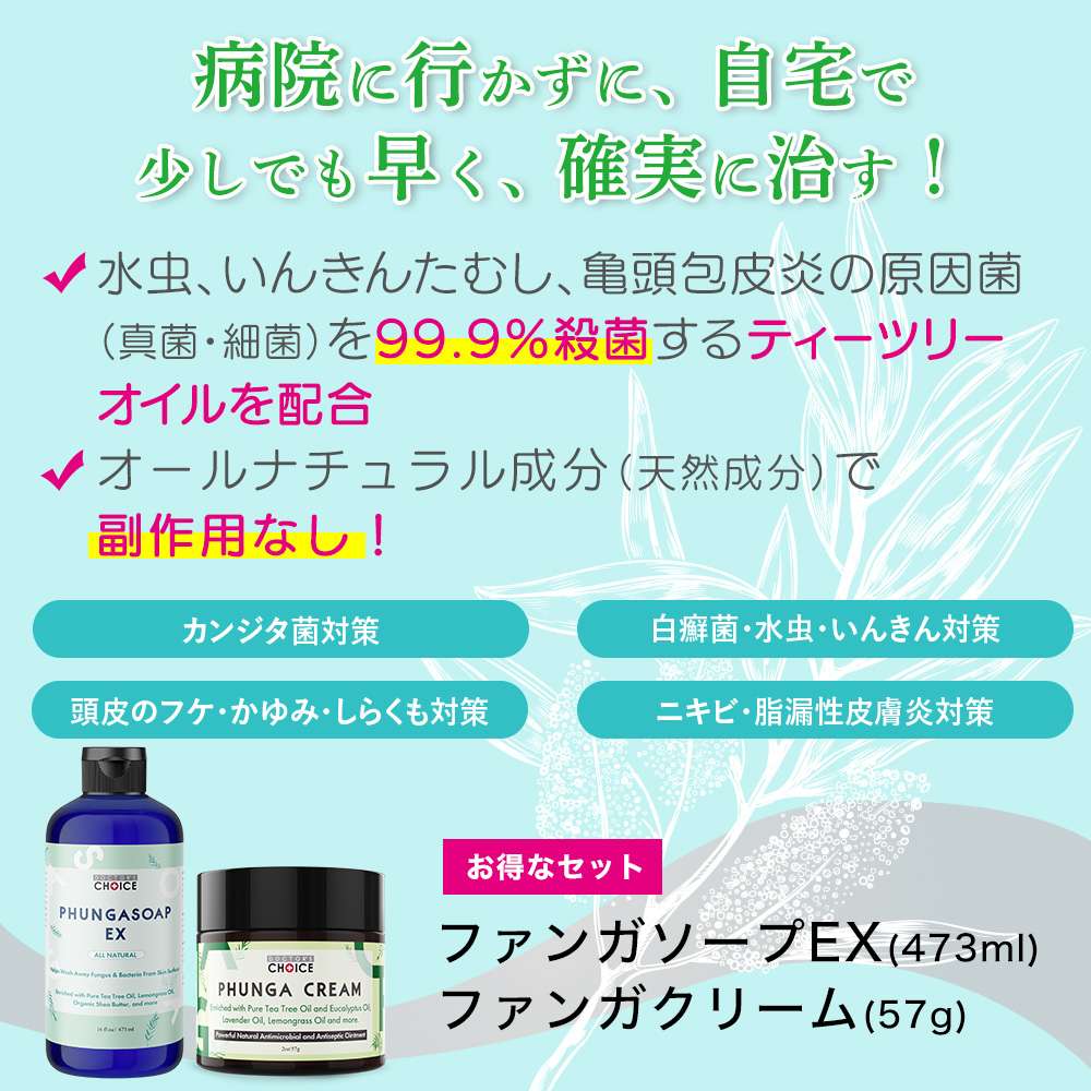 真菌・細菌用　最強セット