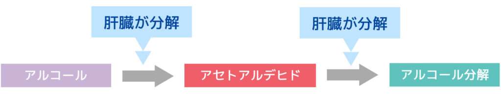 アルコール分解