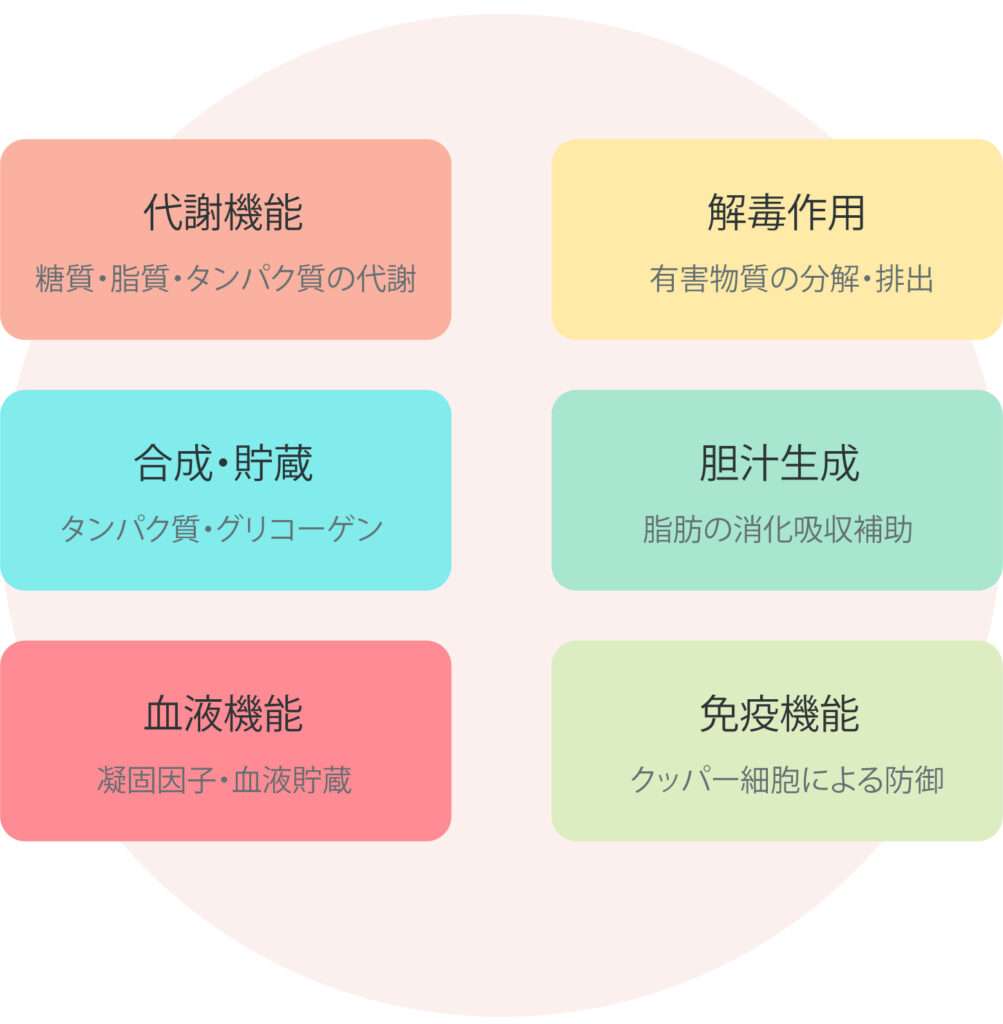生活習慣