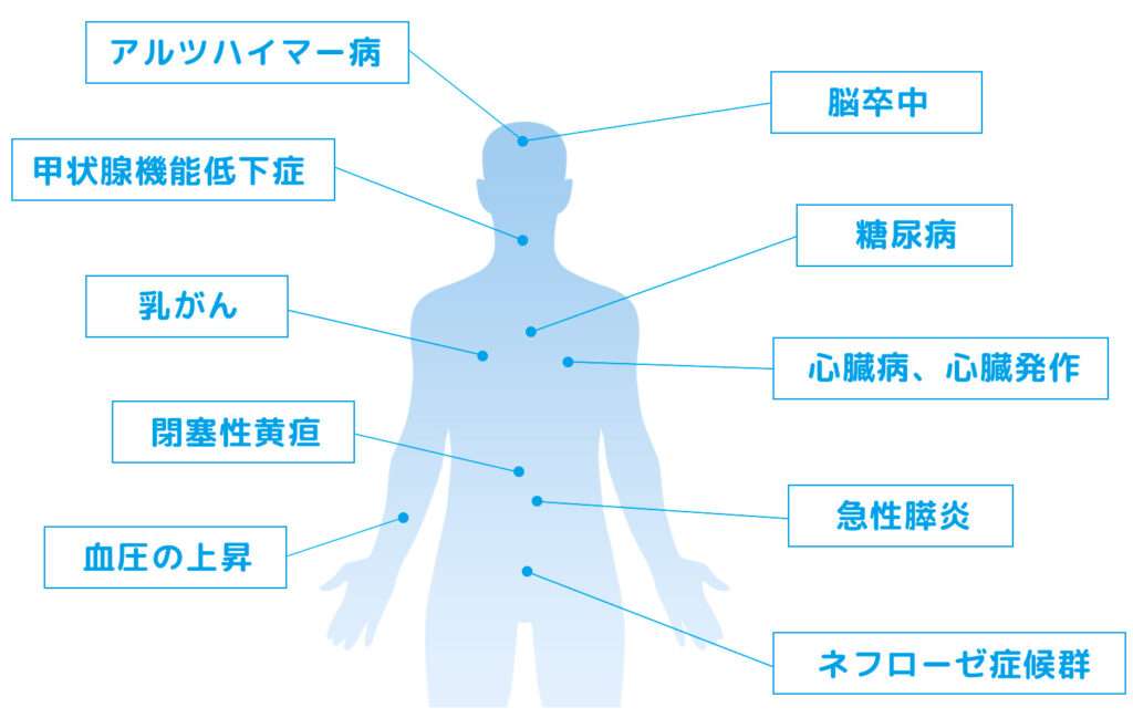 内臓脂肪を蓄積するリスクと危険性