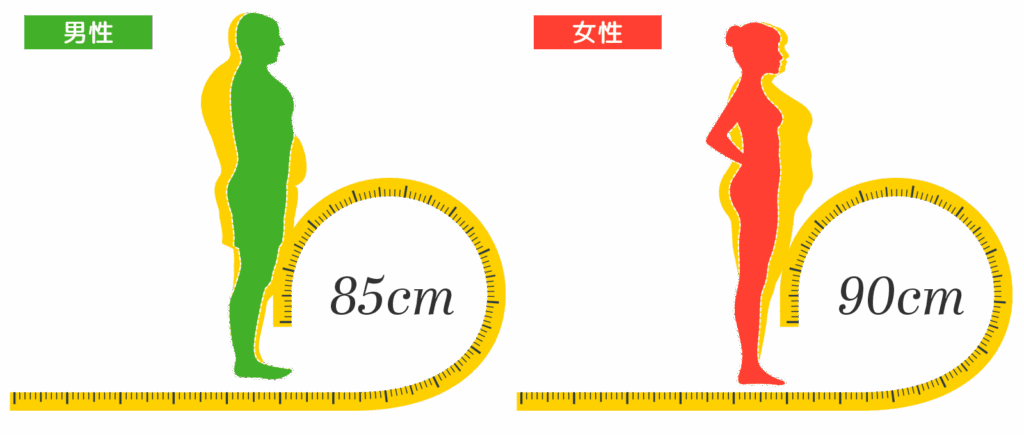 男性で85cm、女性で90cmを超えると内臓脂肪型肥満の疑いが強い
