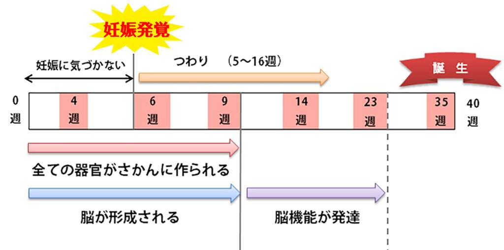 妊娠してからでは遅い