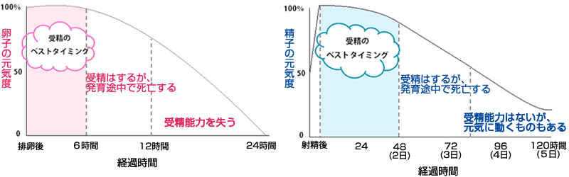 卵子・精子の元気度グラフ