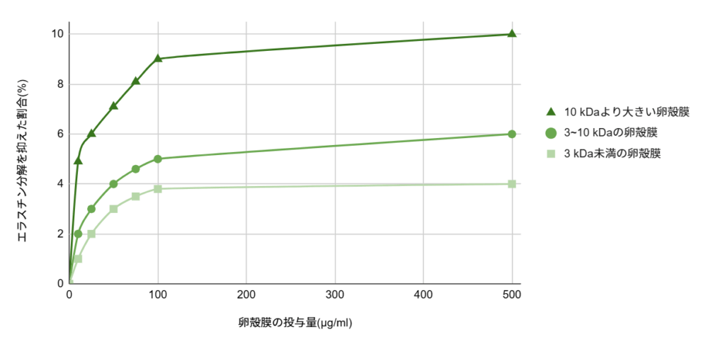 卵殻膜の分子が大きいほど、エラスチンの分解を抑えたことが分かるグラフ