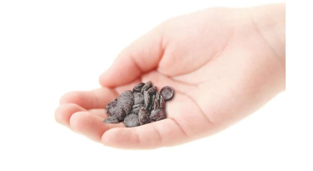 手のひらに乗ったチョコチップ