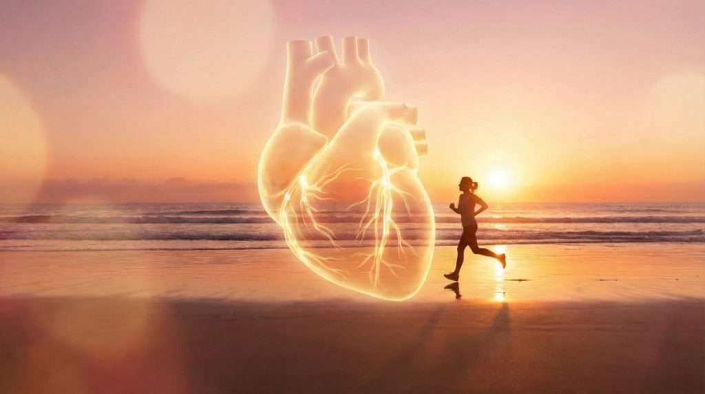 健康な生活に近づくオメガ3