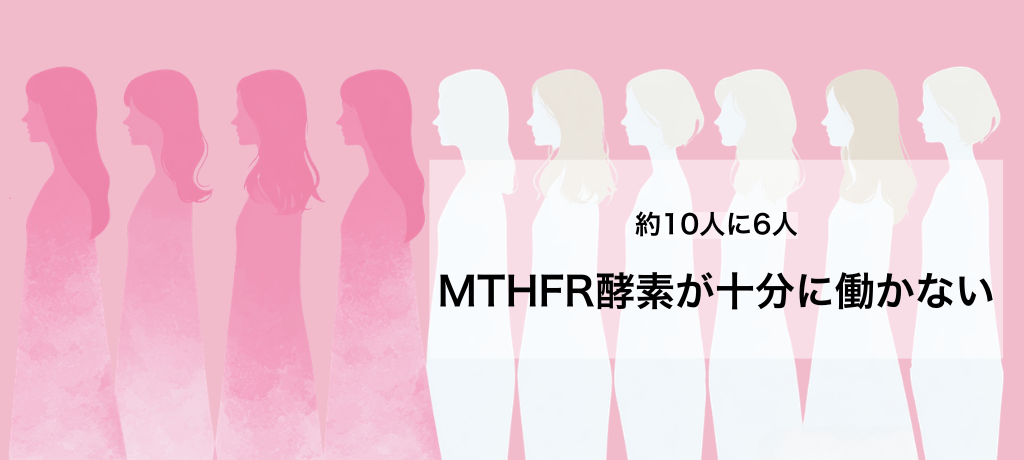 日本人の約10人に6人はMTHFR酵素が十分に働かない