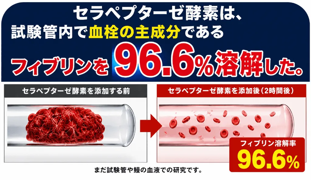 セラペプターゼ酵素は、試験管内で血栓の主成分であるフィブリンを96.6%溶解した。