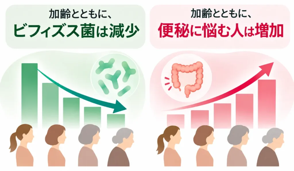 加齢とともにビフィズス菌は減少。便秘に悩む人は増加。